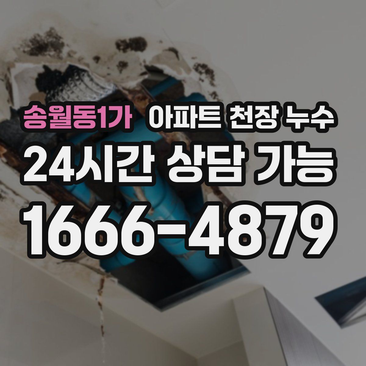송월동1가 아파트 천장 누수