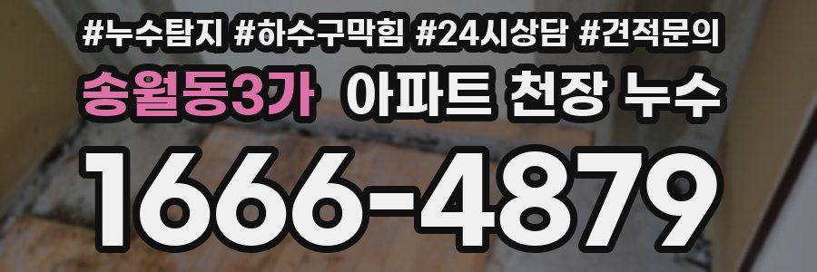 송월동3가 아파트 천장 누수