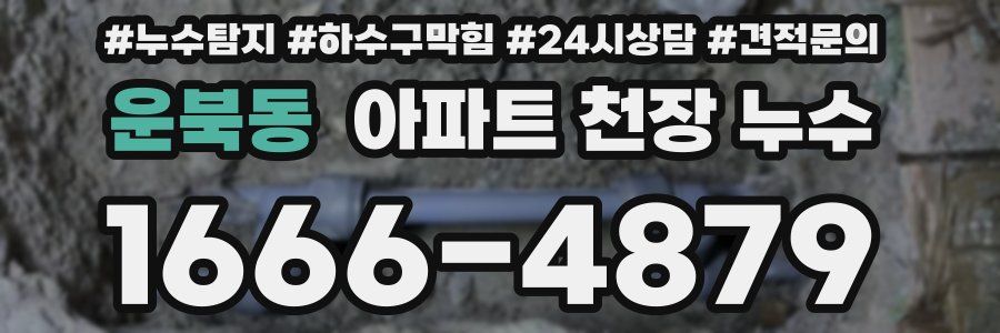 운북동 아파트 천장 누수