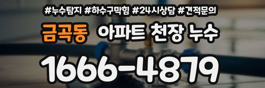 금곡동 아파트 천장 누수