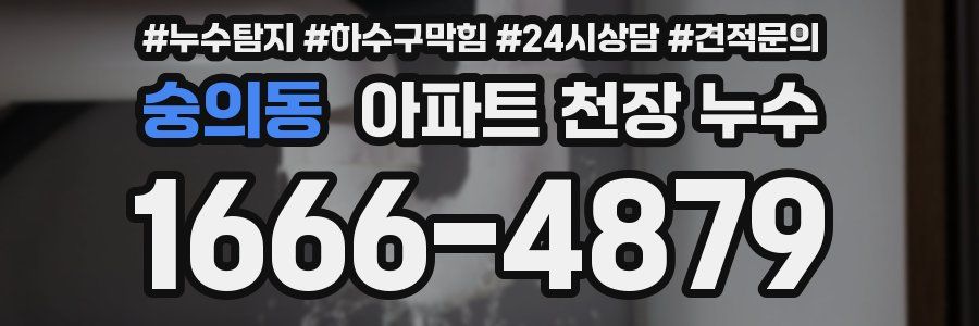 숭의동 아파트 천장 누수
