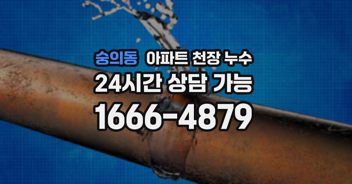 숭의동 아파트 천장 누수