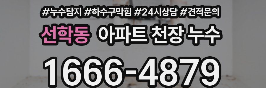 선학동 아파트 천장 누수