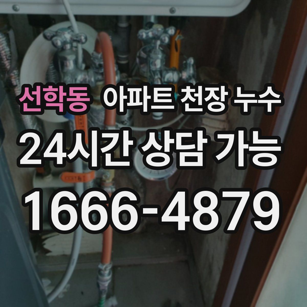 선학동 아파트 천장 누수