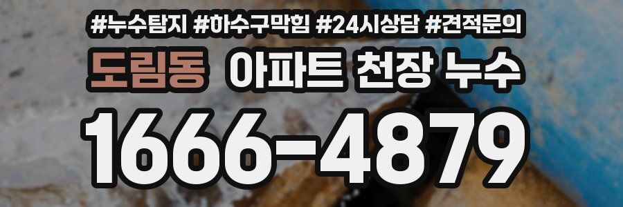 도림동 아파트 천장 누수