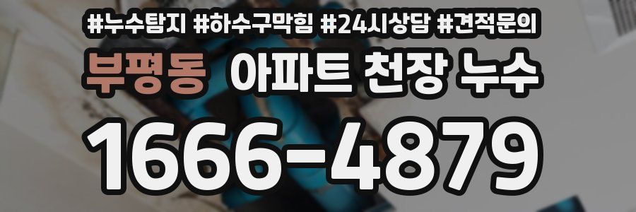 부평동 아파트 천장 누수