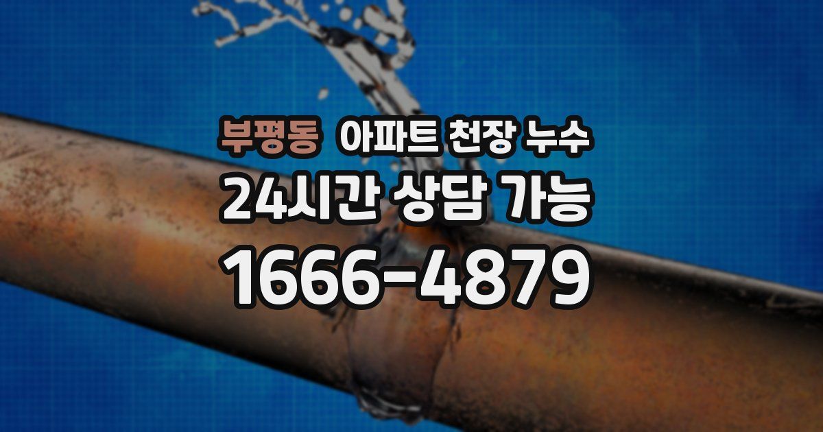 부평동 아파트 천장 누수