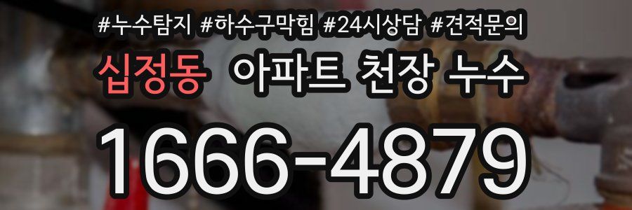 십정동 아파트 천장 누수