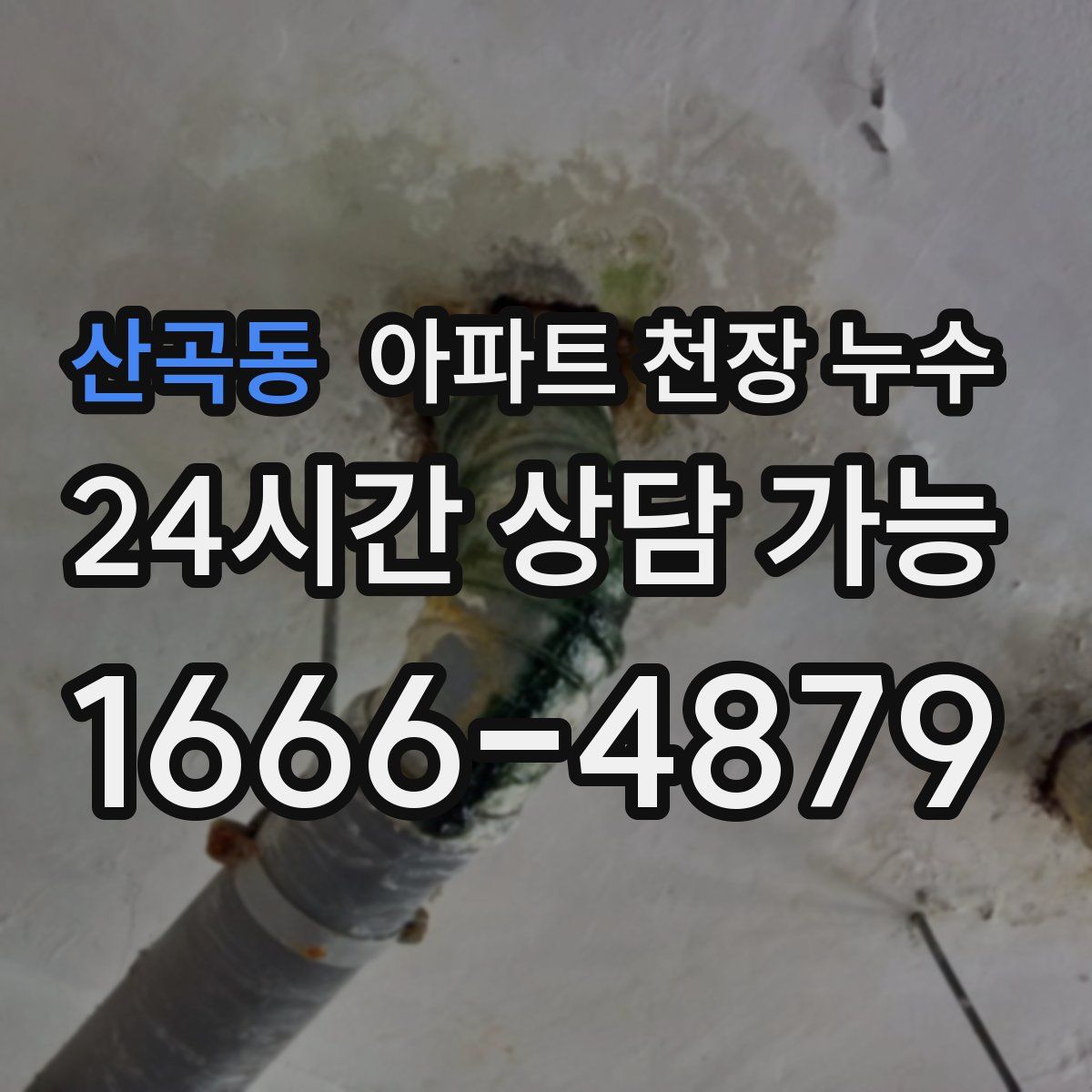 산곡동 아파트 천장 누수