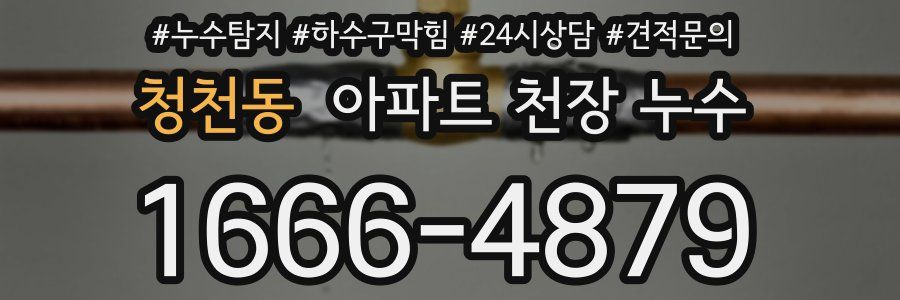 청천동 아파트 천장 누수