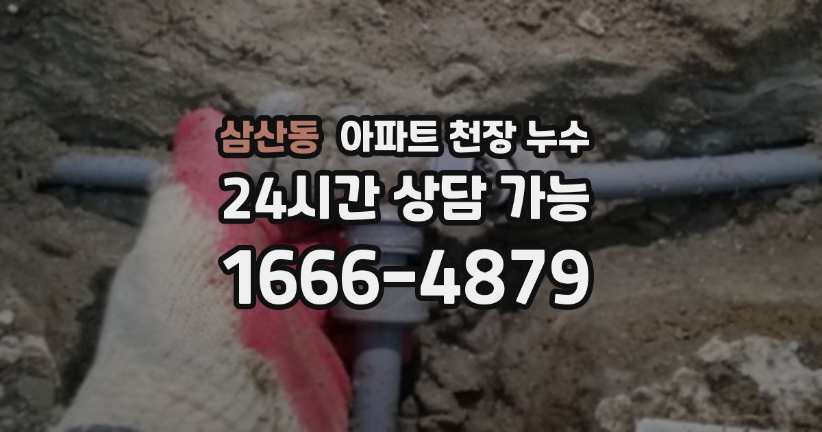 삼산동 아파트 천장 누수
