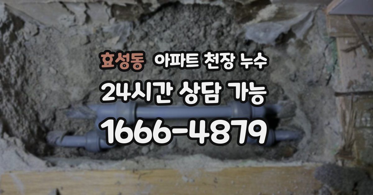 효성동 아파트 천장 누수