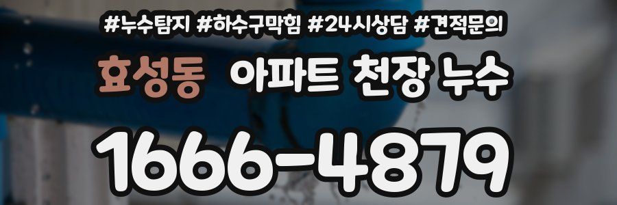 효성동 아파트 천장 누수