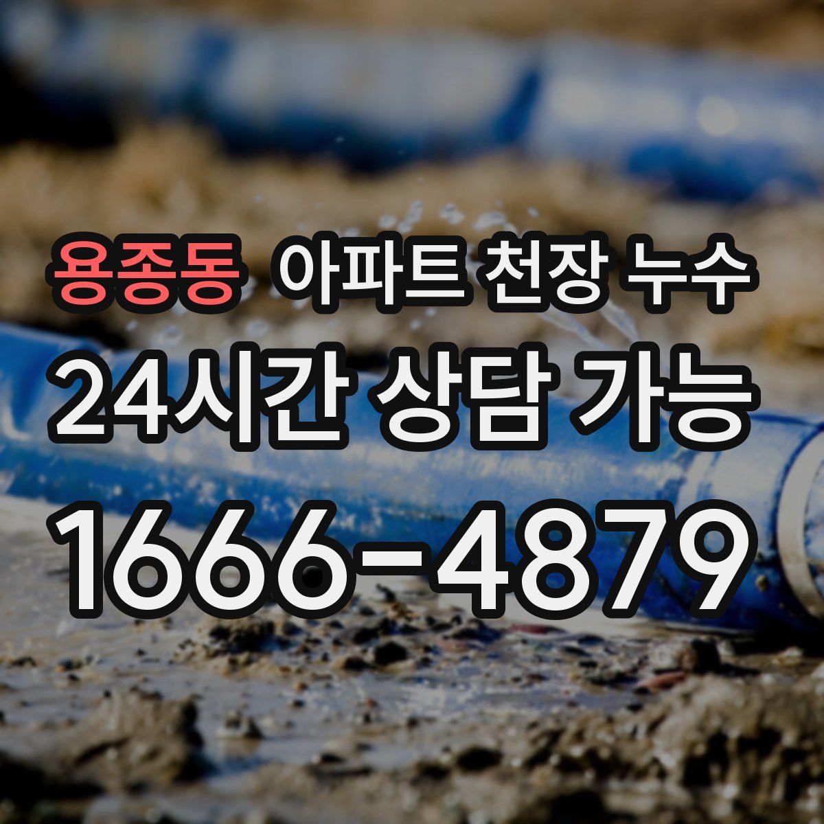 용종동 아파트 천장 누수