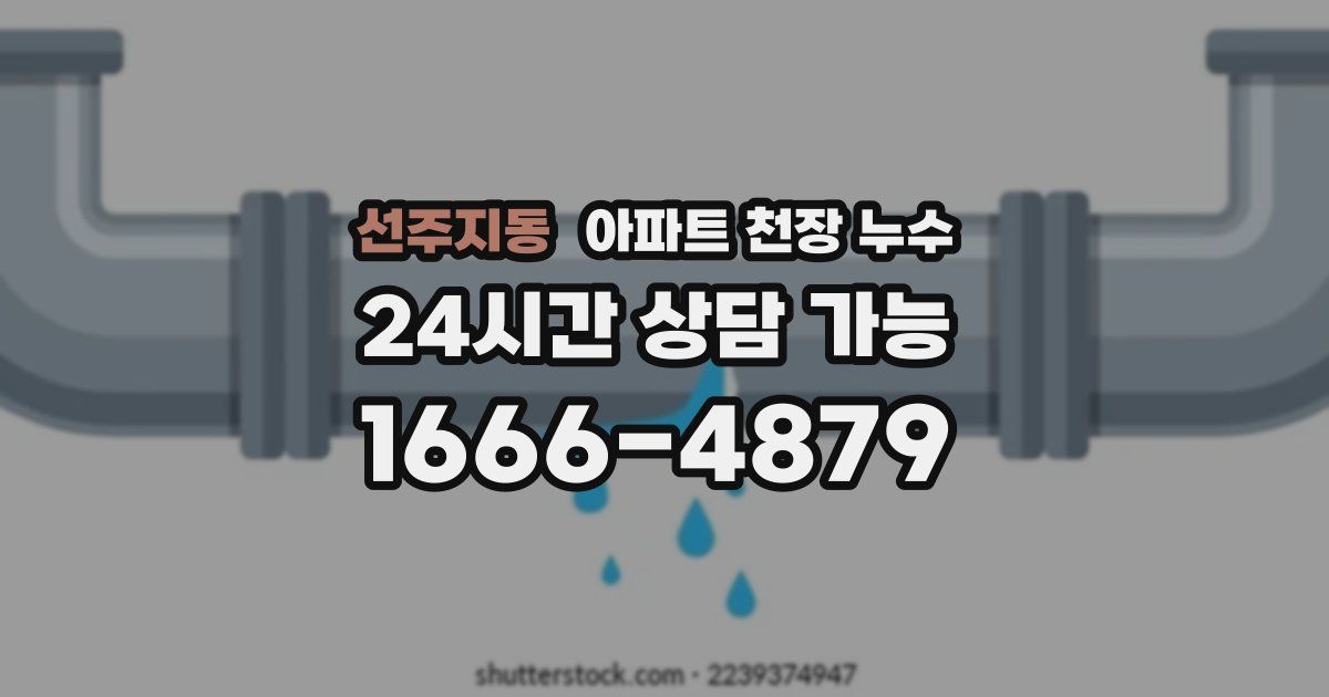 선주지동 아파트 천장 누수