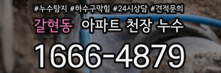 갈현동 아파트 천장 누수