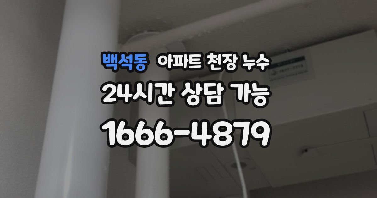 백석동 아파트 천장 누수
