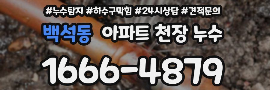 백석동 아파트 천장 누수