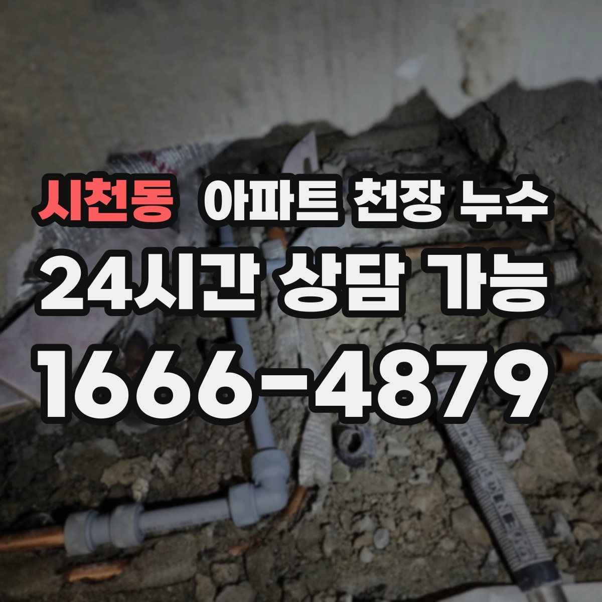 시천동 아파트 천장 누수