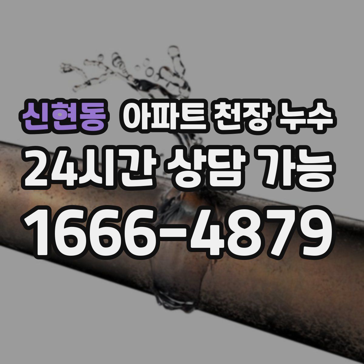 신현동 아파트 천장 누수