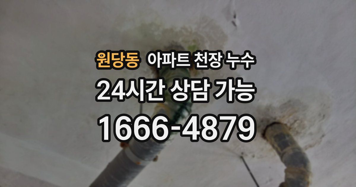 원당동 아파트 천장 누수