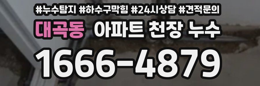 대곡동 아파트 천장 누수