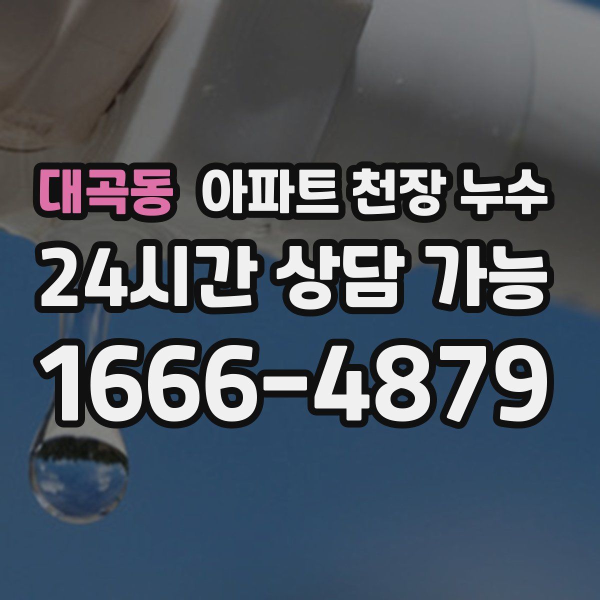 대곡동 아파트 천장 누수
