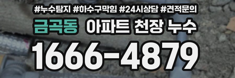 금곡동 아파트 천장 누수