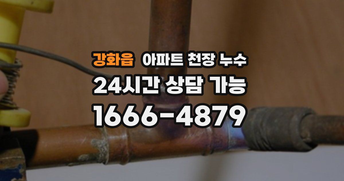 강화읍 아파트 천장 누수