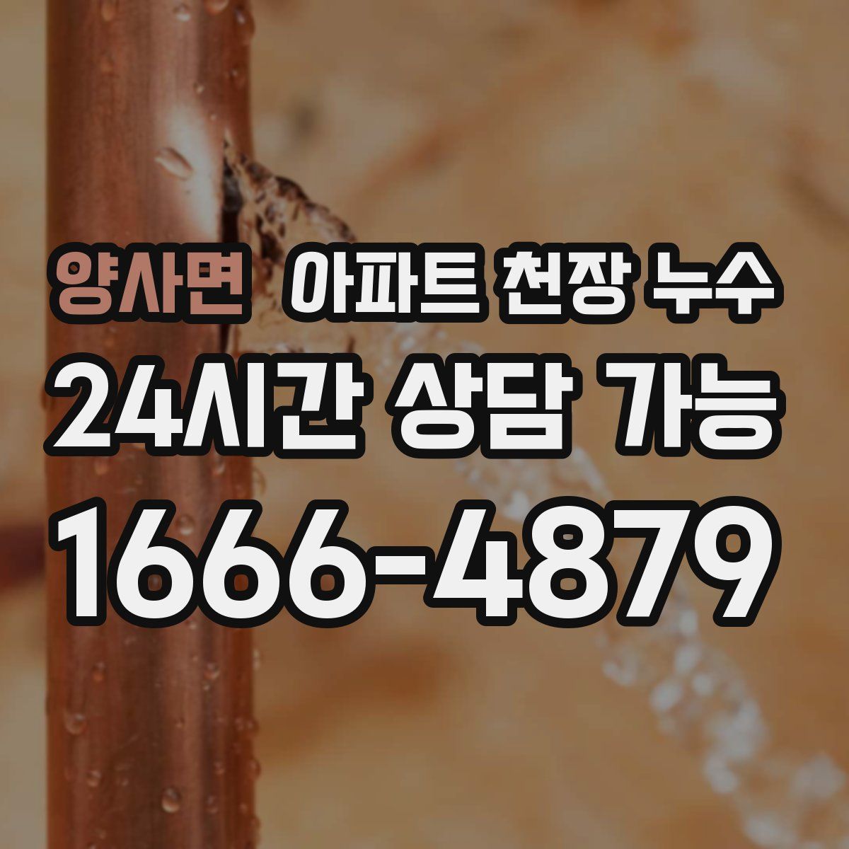 양사면 아파트 천장 누수