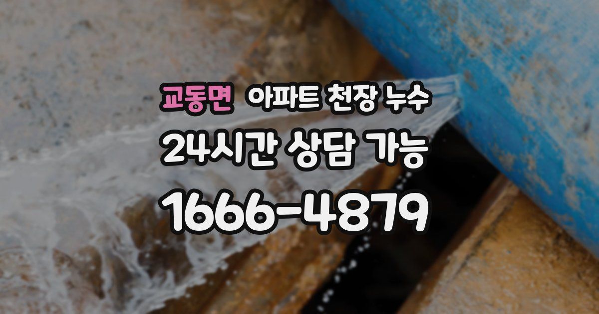 교동면 아파트 천장 누수