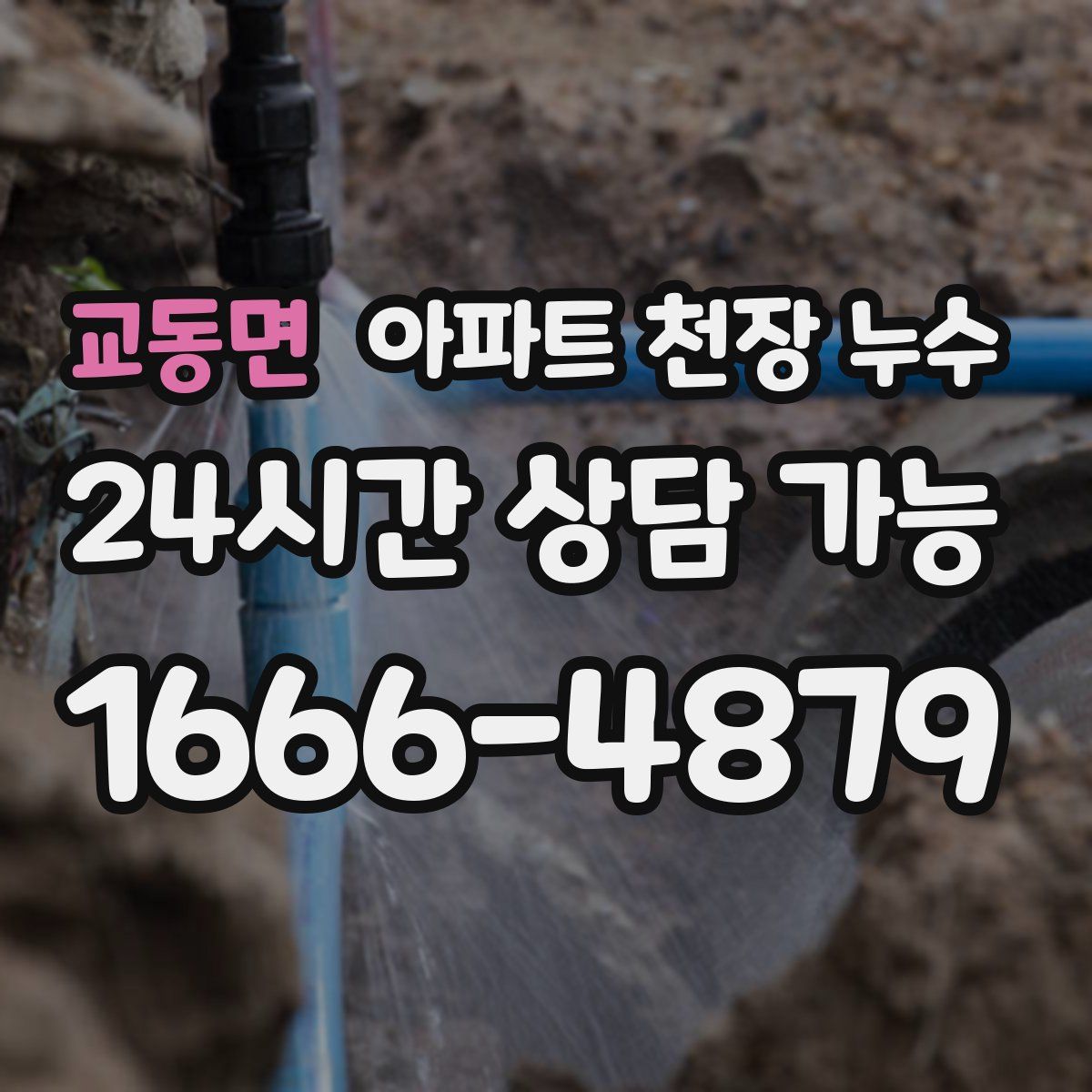교동면 아파트 천장 누수