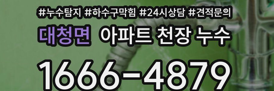 대청면 아파트 천장 누수