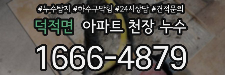 덕적면 아파트 천장 누수