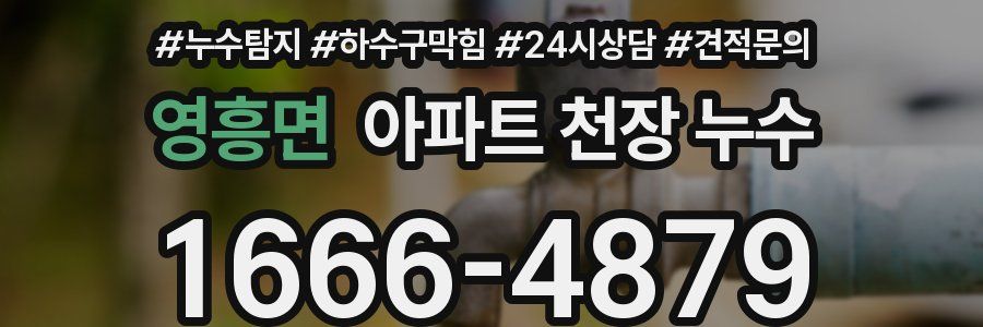 영흥면 아파트 천장 누수