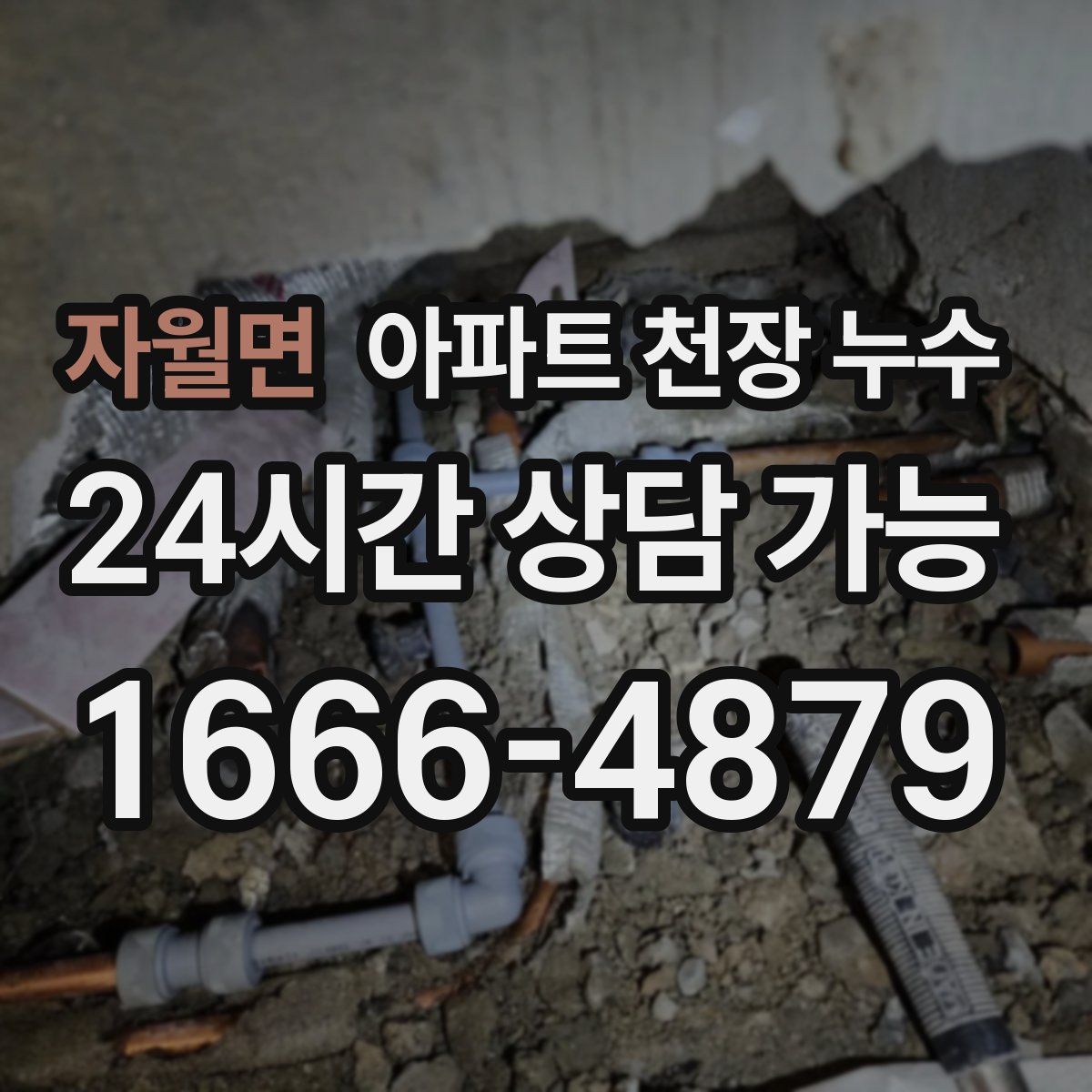자월면 아파트 천장 누수