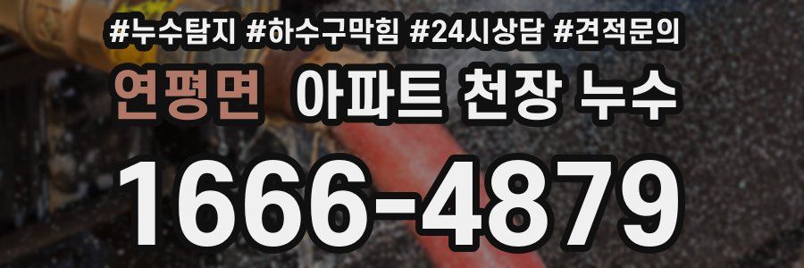 연평면 아파트 천장 누수