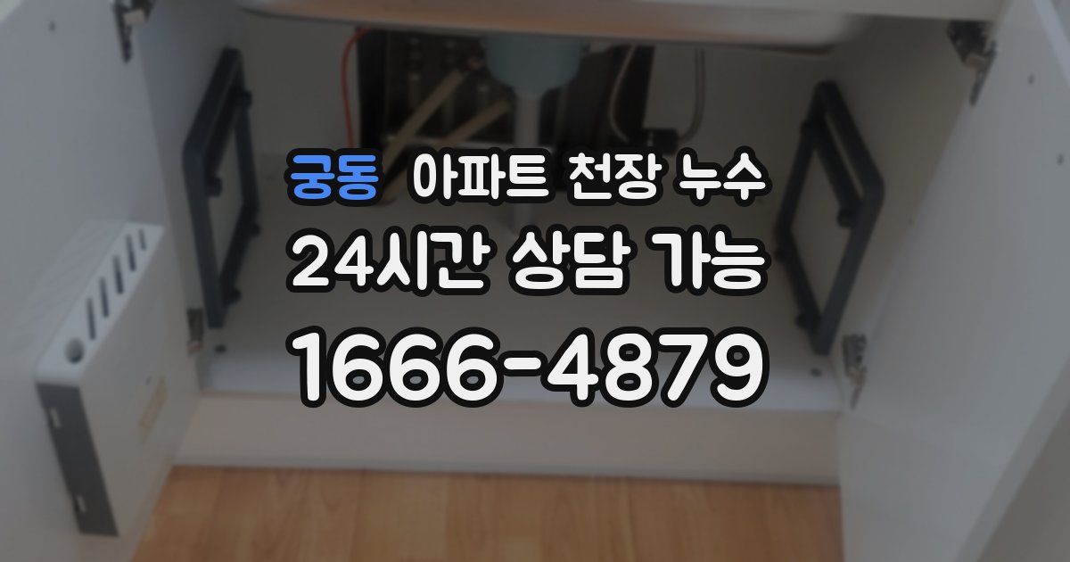 궁동 아파트 천장 누수