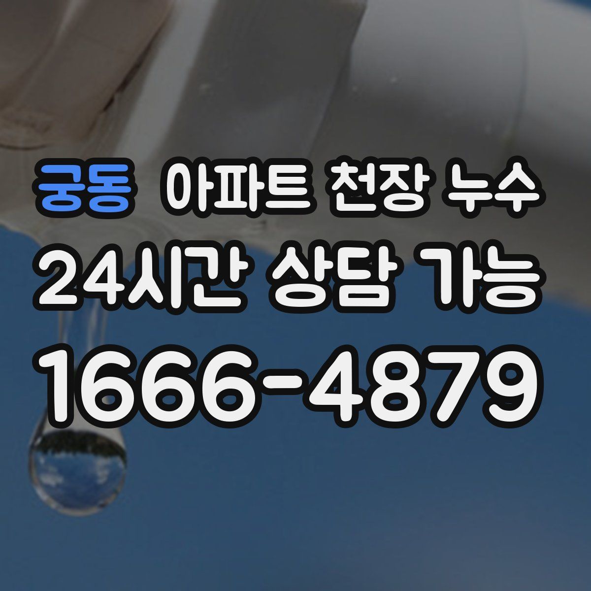 궁동 아파트 천장 누수