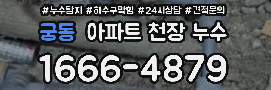 궁동 아파트 천장 누수