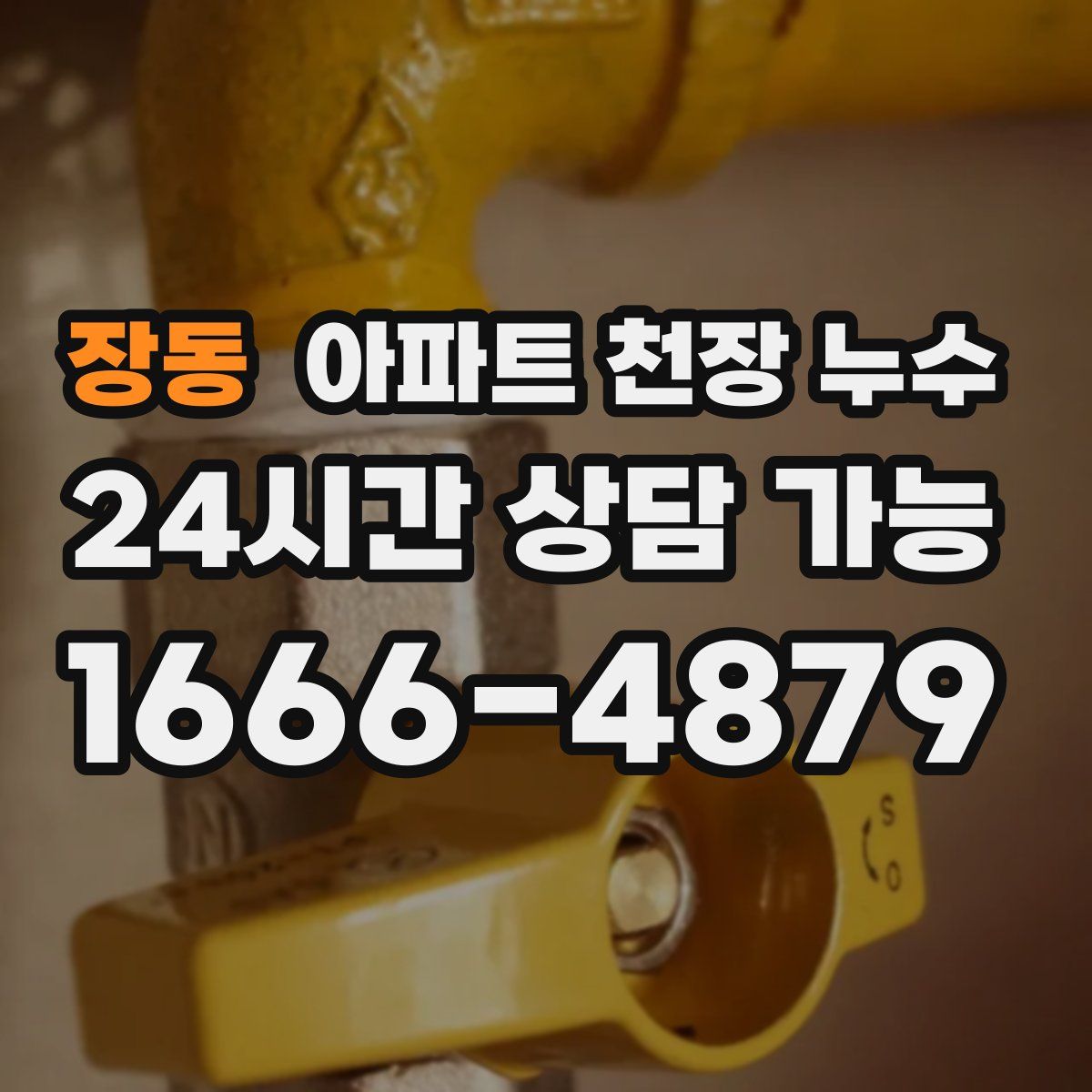 장동 아파트 천장 누수