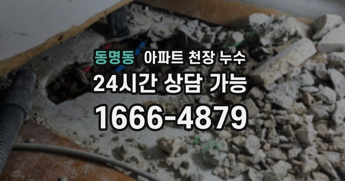 동명동 아파트 천장 누수