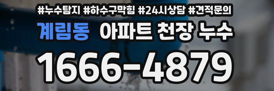 계림동 아파트 천장 누수