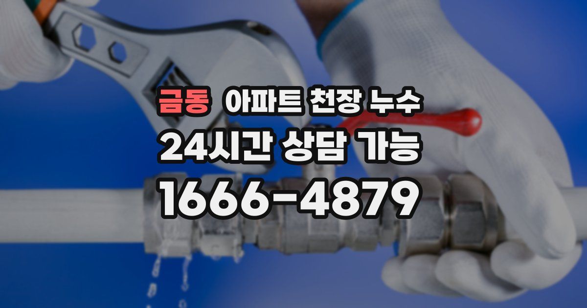 금동 아파트 천장 누수