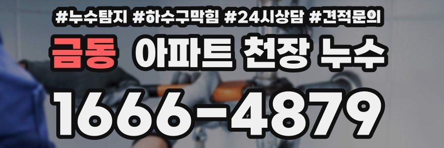 금동 아파트 천장 누수