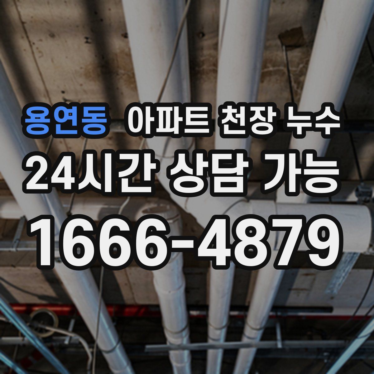 용연동 아파트 천장 누수