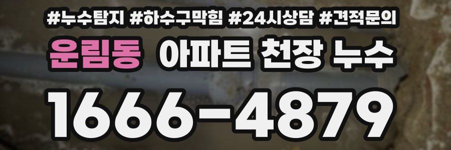 운림동 아파트 천장 누수