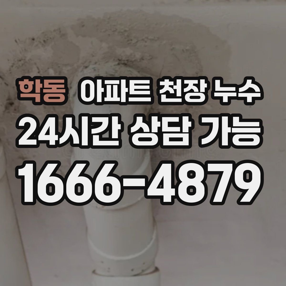 학동 아파트 천장 누수