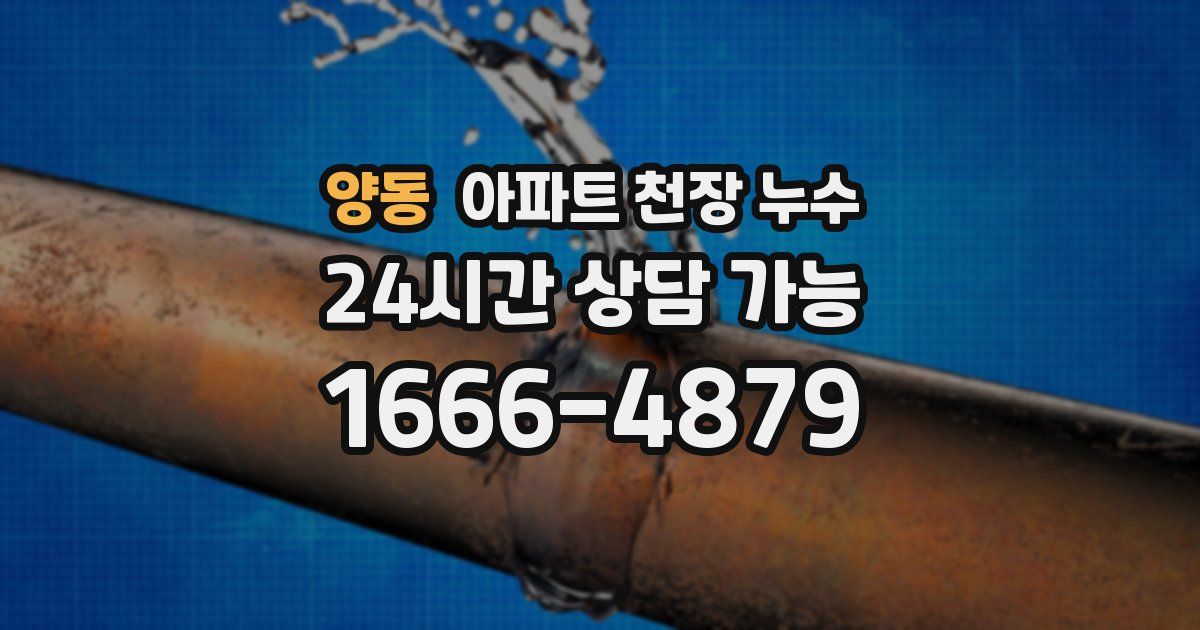 양동 아파트 천장 누수