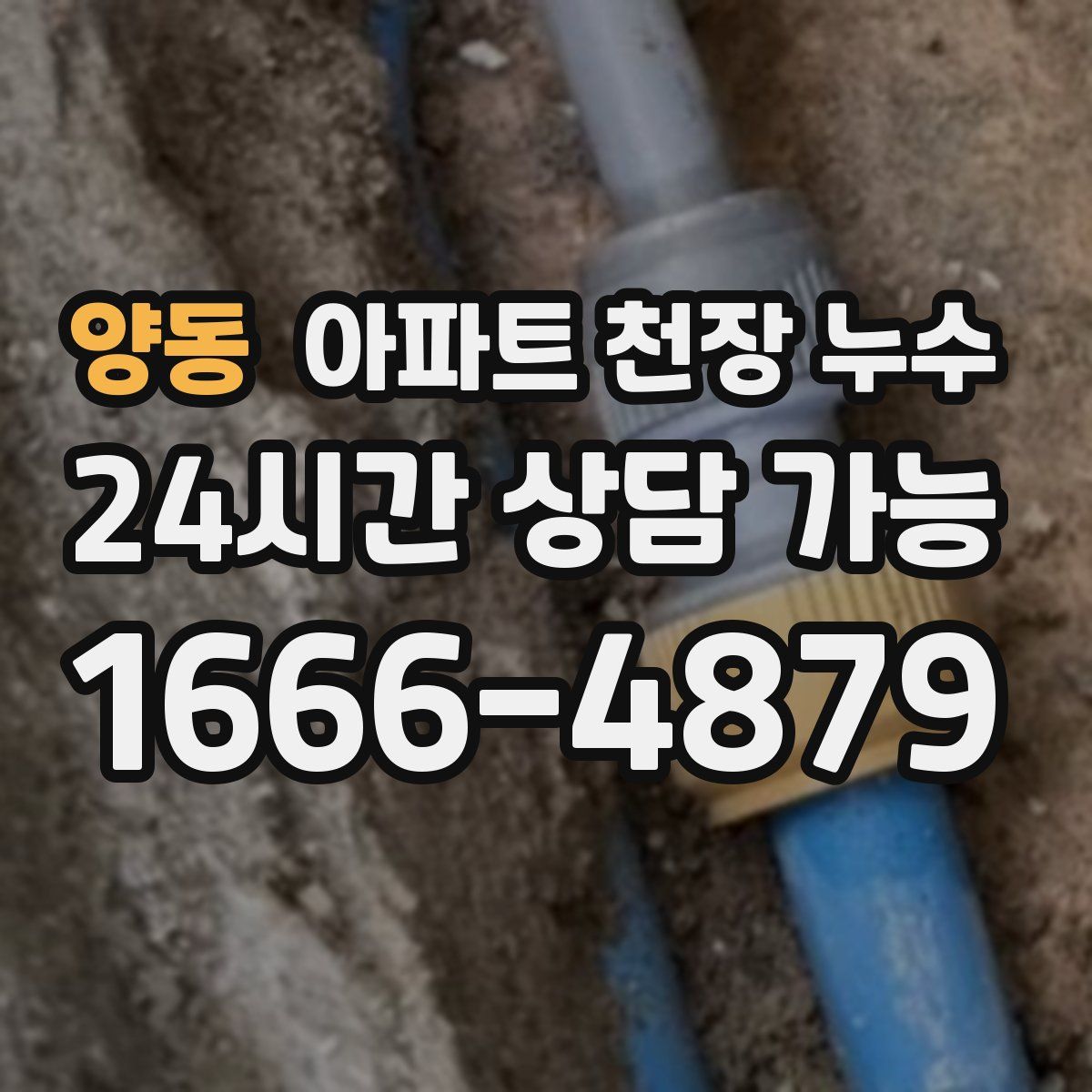 양동 아파트 천장 누수